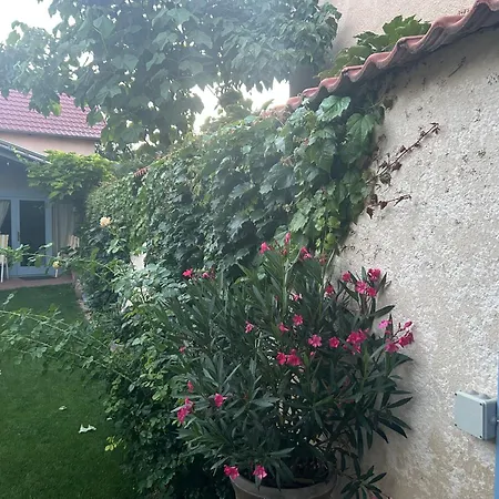 Apartmán Monpe Apartmanik S Atmosferou